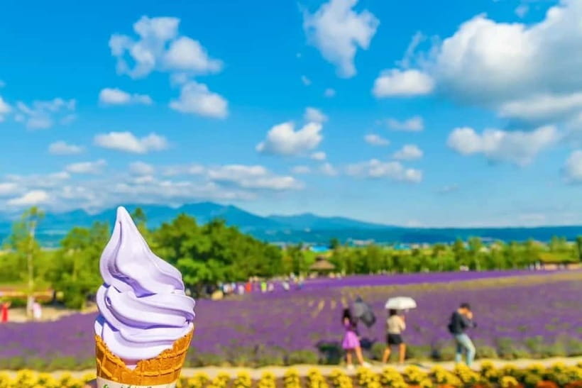 Sapporo: Furano Flower Sea & Biei Blue Pond Tour w/ Pickup - What the driving is really like