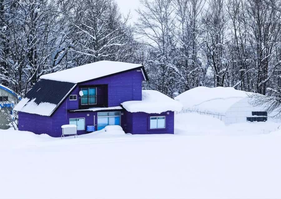 Sapporo: Furano Lavender & Biei Blue Pond Tour with Lunch - Hokkaido buffet at Herb Garden Furano