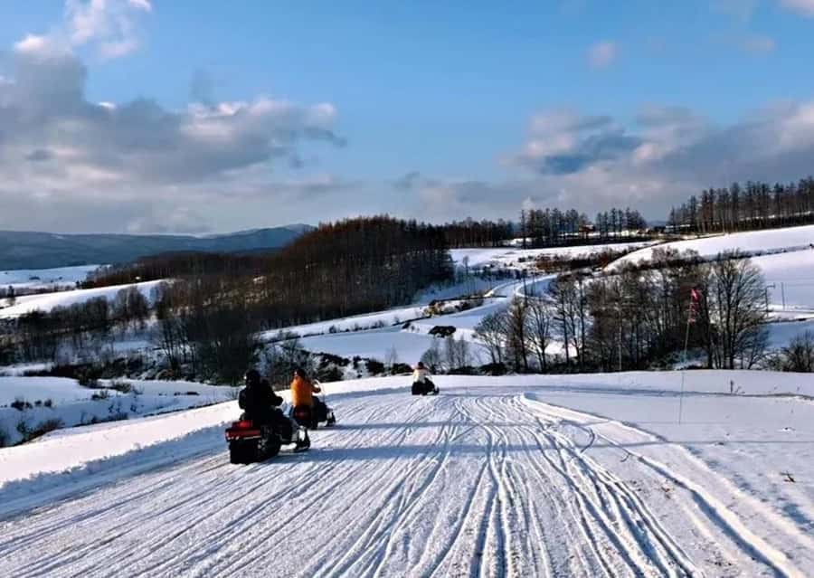 Sapporo: Furano Lavender & Biei Blue Pond Tour with Lunch - What the $94 covers, and what it does not