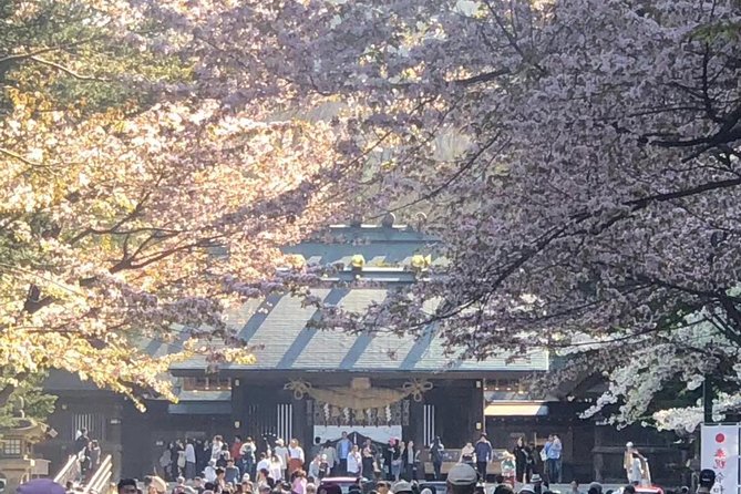 [Sapporo] Go by private car! Takino Cemetery, Hokkaido Shrine, Shiroi Koibito Park - Key points at a glance