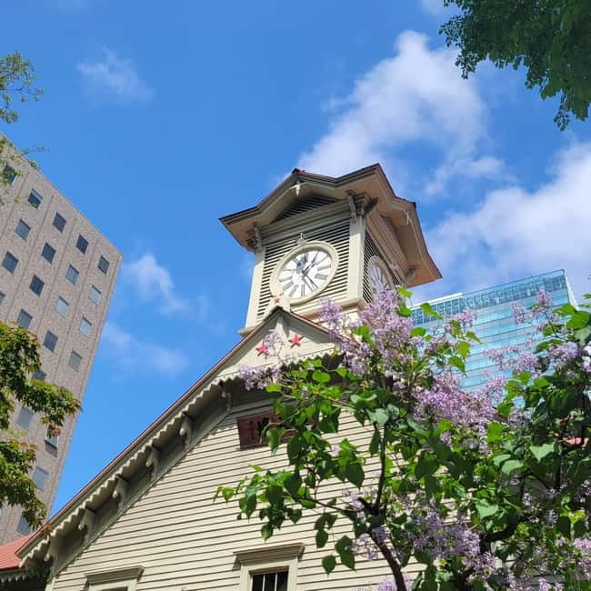 Sapporo Highlights: Golden Route Morning Guided Walking Tour - Meeting beneath the Sapporo TV Tower