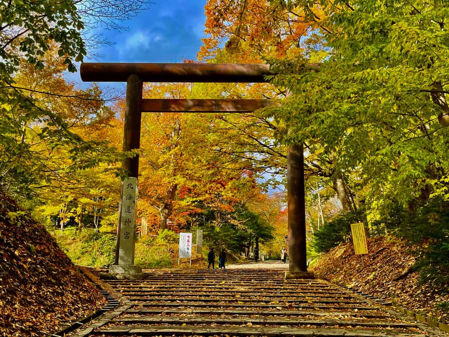 Sapporo: Hokkaido Shrine Tour with Rituals, History & Sweets - Learning the temizu purification ritual