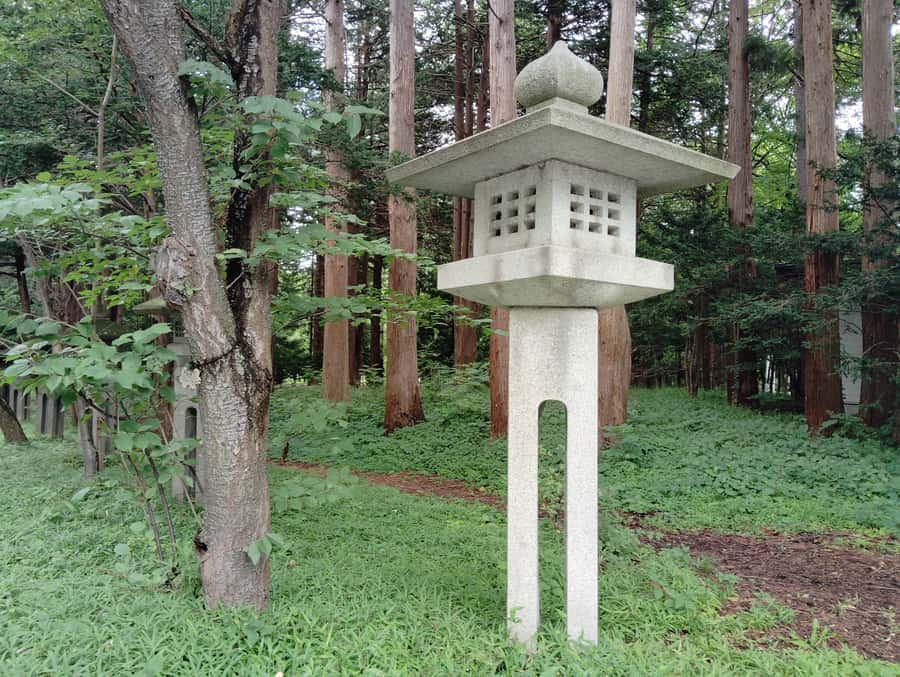 Sapporo: Hokkaido Shrine Tour with Rituals, History & Sweets - What the private format changes