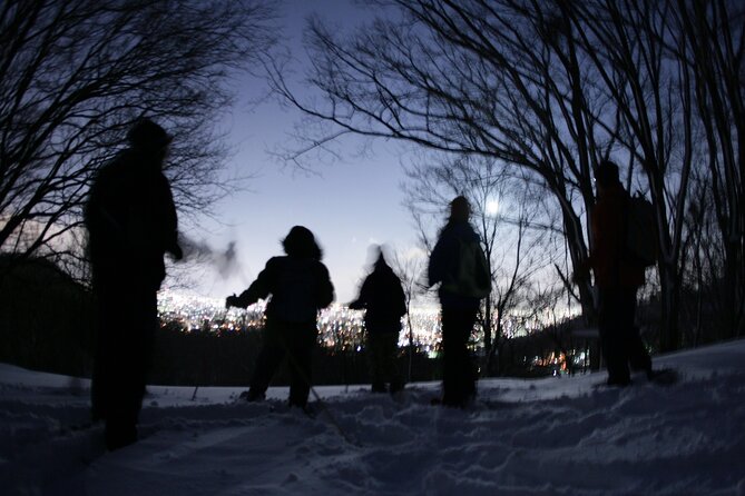 Sapporo Night Hike and Night View Private Guided Experience - Snowshoes, powder, and the weather question