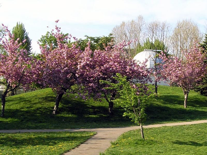 sapporo-observatory-1