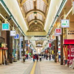 Sapporo: Private Customized Day Tour in Sappro City - Starting with a custom plan and hotel pickup