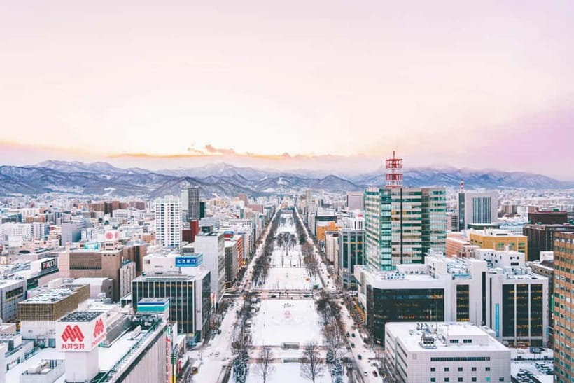 Sapporo: Private Customized Day Tour in Sappro City - Tanukikoji Shopping Street for an easy city stroll