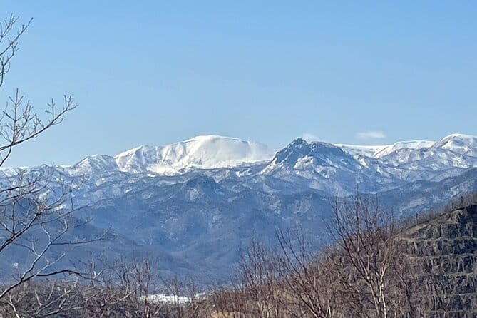 Sapporo Private Sightseeing Tour in Onsen with Special Package - What Tomo and Sebastian add to the day