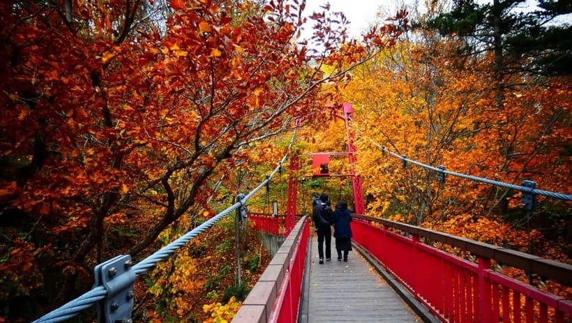 Sapporo: The Indigenous Ainu People & Jozankei walking tour - Why this Sapporo day trip works
