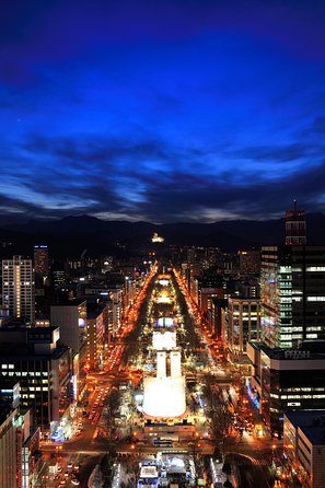 Sapporo TV Tower - City, countryside, and the Japan Sea