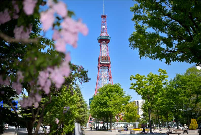 Sapporo TV Tower Admission Ticket - What the Sapporo TV Tower visit is really like