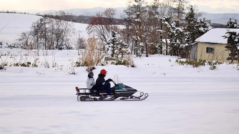 Sapporo Winter : Asahiyama Zoo (Penguin Fun & Snowmobile) - Who will enjoy this tour most