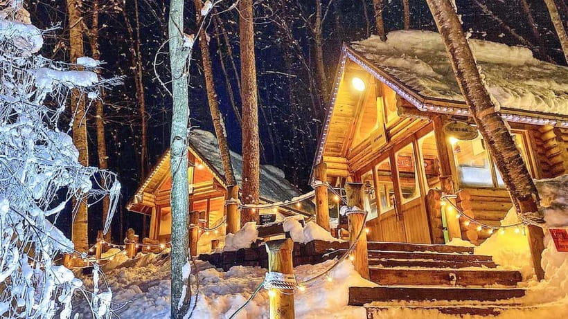 Sapporo Winter : Asahiyama Zoo (Penguin Fun & Snowmobile) - Should you book this Sapporo winter tour?