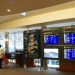 Shared Departure Transfer : Sapporo City to Shin Chitose Airport - Leaving your Sapporo hotel