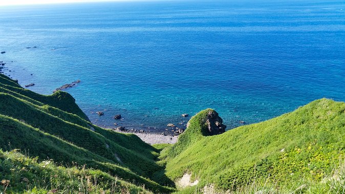 SkyExpress: Shakotan Peninsula Customised Private Day Tour (Up to 3 Passengers) - Key points at a glance