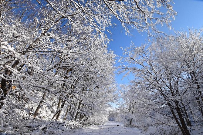 Snowshoe Hike Tour from Sapporo include hotel p/up & drop off - Getting comfortable in snowshoes