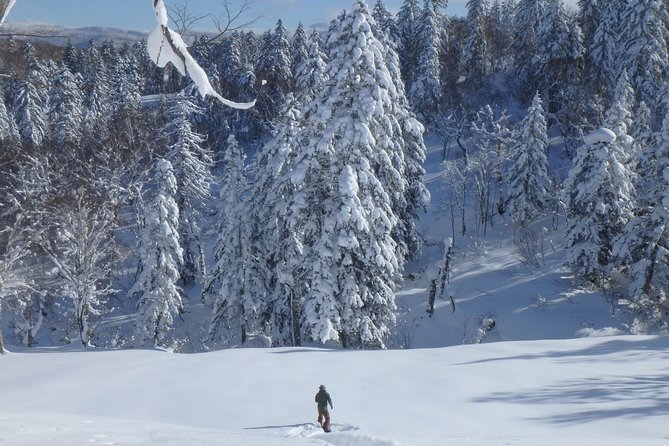 Snowshoe Hike Tour from Sapporo include hotel p/up & drop off - A private format that helps families and first-timers