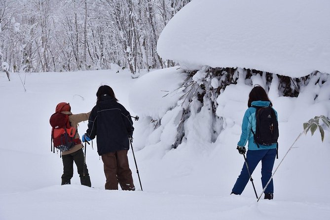 Snowshoe Hike Tour from Sapporo include hotel p/up & drop off - Weather, clothing, and sensible planning