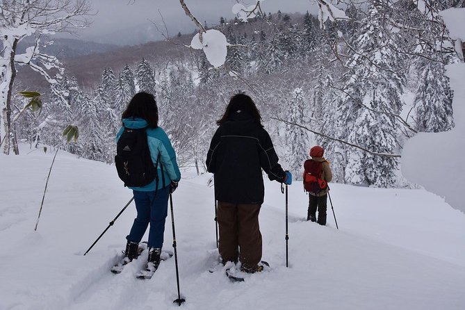 Snowshoe Hike Tour from Sapporo include hotel p/up & drop off - Who will get the most from this Sapporo snowshoe tour