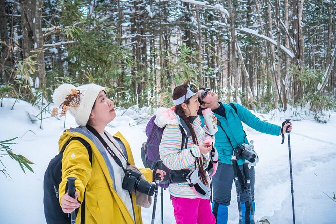 Snowshoe to Spectacular Winter Ice Caves in Hokkaido - Why this Noboribetsu ice cave feels special