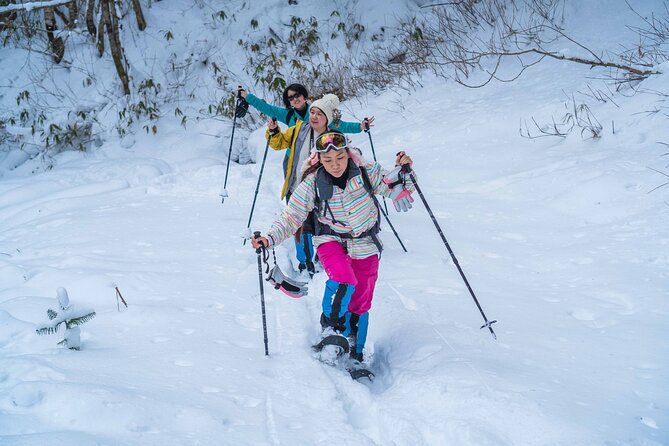 Snowshoe to Spectacular Winter Ice Caves in Hokkaido - Is $205.29 a fair price?