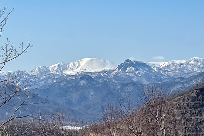 Snowshoeing and Onsen Adventures in a Winter Wonderland -Sapporo. - Key points to know before booking