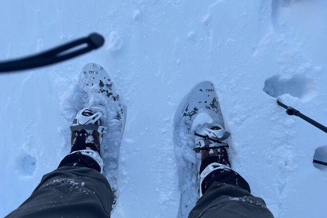 Snowshoeing and Onsen Adventures in a Winter Wonderland -Sapporo. - Leaving Sapporo from Makomanai at 7:30am