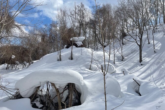 Snowshoeing and Onsen Adventures in a Winter Wonderland -Sapporo. - Why the five-person limit matters