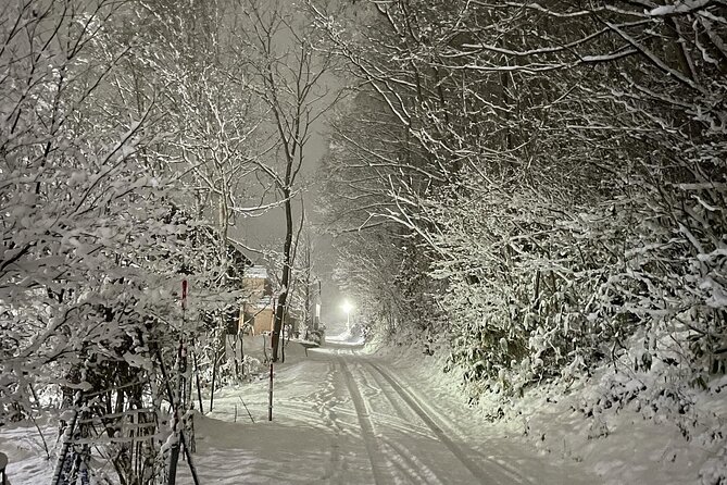 Snowshoeing and Onsen Adventures in a Winter Wonderland -Sapporo. - Who will enjoy this Sapporo winter outing
