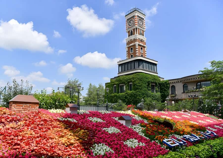 Sopporo: Hokkaido Shrine and Atama Daibutsu Full-Day Tour - Pace, comfort, and who should book
